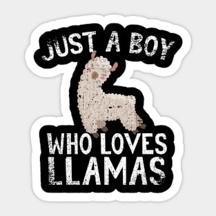 Just A Boy Who Loves Llamas Sticker